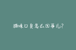 猫咪口臭怎么回事儿？