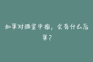 如果对猫竖中指，会有什么后果？