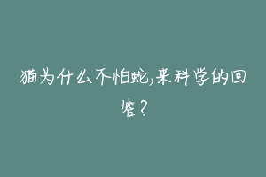 猫为什么不怕蛇,来科学的回答？