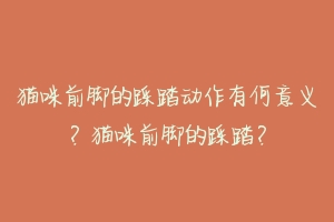 猫咪前脚的踩踏动作有何意义？猫咪前脚的踩踏？