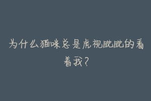 为什么猫咪总是虎视眈眈的看着我？