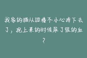 我家的猫从四楼不小心掉下去了，抱上来的时候尿了很的血？