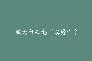 猫为什么老“念经”？