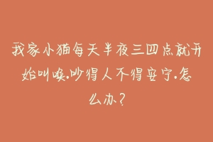 我家小猫每天半夜三四点就开始叫唤.吵得人不得安宁.怎么办？