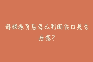 母猫绝育后怎么判断伤口是否痊愈？