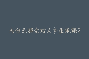 为什么猫会对人产生依赖？