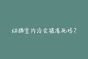 幼猫室内冷会被冻死吗？