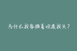 为什么我家猫喜欢摸我头？