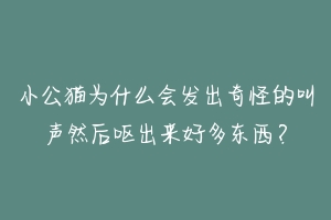 小公猫为什么会发出奇怪的叫声然后呕出来好多东西？