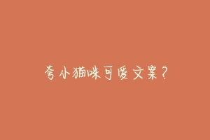 夸小猫咪可爱文案？