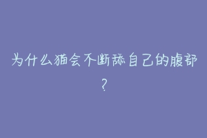 为什么猫会不断舔自己的腹部？