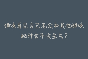 猫咪看见自己老公和其他猫咪配种会不会生气？