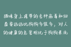 猫咪身上携带的各种病毒和细菌要远远比狗狗多很多，对人的健康的危害相比于狗狗来说也要大很多很多？