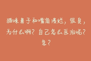 猫咪鼻子和嘴角溃烂，很臭，为什么啊？自己怎么医治呢？急？