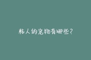 粘人的宠物有哪些？