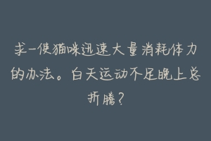 求-使猫咪迅速大量消耗体力的办法。白天运动不足晚上总折腾？