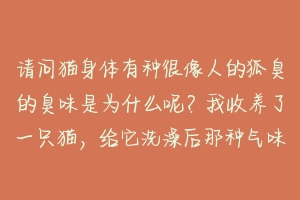 请问猫身体有种很像人的狐臭的臭味是为什么呢？我收养了一只猫，给它洗澡后那种气味都很浓…我的另外一只？