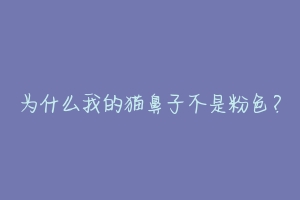 为什么我的猫鼻子不是粉色？