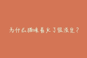 为什么猫咪着火了很淡定？