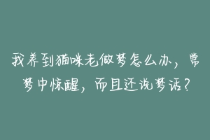 我养到猫咪老做梦怎么办，常梦中惊醒，而且还说梦话？