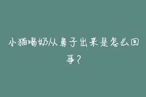 小猫喝奶从鼻子出来是怎么回事？