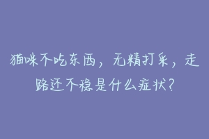 猫咪不吃东西，无精打采，走路还不稳是什么症状？