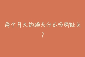 两个月大的猫为什么吸脚趾头？