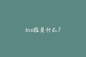 ins脸是什么？