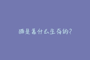 猫是靠什么生存的？