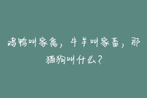 鸡鸭叫家禽，牛羊叫家畜，那猫狗叫什么？