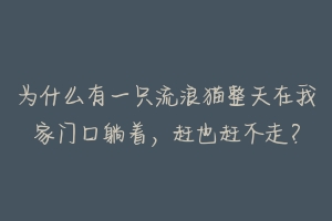 为什么有一只流浪猫整天在我家门口躺着，赶也赶不走？