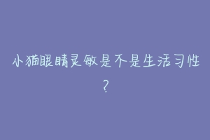 小猫眼睛灵敏是不是生活习性？