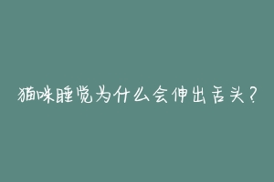 猫咪睡觉为什么会伸出舌头？