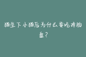 猫生下小猫后为什么要吃掉胎盘？