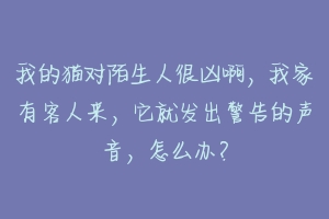 我的猫对陌生人很凶啊，我家有客人来，它就发出警告的声音，怎么办？