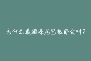 为什么摸猫咪尾巴根部会叫？