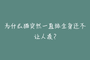 为什么猫突然一直舔全身还不让人摸？