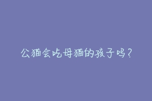 公猫会吃母猫的孩子吗？