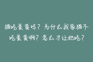 猫吃蛋黄吗？为什么我家猫不吃蛋黄啊？怎么才让她吃？