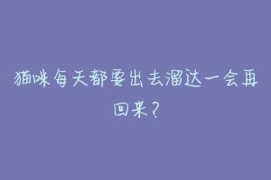 猫咪每天都要出去溜达一会再回来？