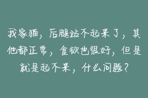 我家猫，后腿站不起来了，其他都正常，食欲也很好，但是就是起不来，什么问题？