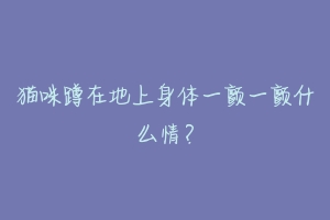 猫咪蹲在地上身体一颤一颤什么情？