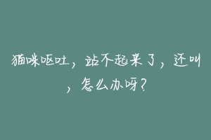 猫咪呕吐，站不起来了，还叫，怎么办呀？