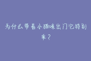 为什么带着小猫咪出门它特别乖？