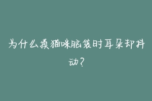 为什么摸猫咪脑袋时耳朵却抖动？