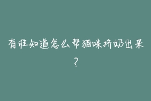 有谁知道怎么帮猫咪挤奶出来？