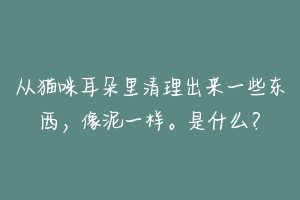 从猫咪耳朵里清理出来一些东西，像泥一样。是什么？