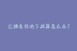 公猫总往地下拉尿怎么办？