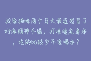 我家猫咪两个月大最近感冒了好像精神不错，打喷嚏流鼻涕，吃的比较少不爱喝水？