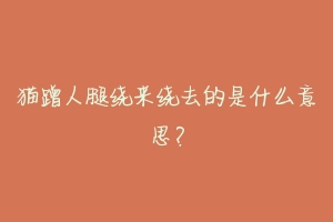 猫蹭人腿绕来绕去的是什么意思？